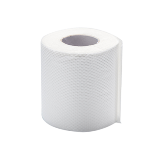 Papier toilette pâte de bambou 10 rouleaux par paquet doux et confortable mouchoirs en papier bon marché rouleaux de papier toilette fabricant OEM - Product Image 4