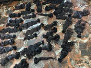 Paquetes de cabello humano de trama de máquina suave y gruesa para extensiones naturales con volumen de larga duración y acabado suave y sedoso fácil de peinar - Product Image 3