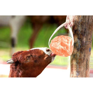Venta al por mayor de sal del Himalaya para animales, bloques de sal de roca pura para exportación de ganado y ganado - Product Image 3