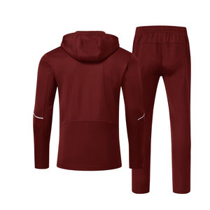Logo personnalisé Vente en gros Survêtement en polaire Hommes Jogger Survêtement Grande Taille Automne Survêtement à fermeture éclair - Product Image 5