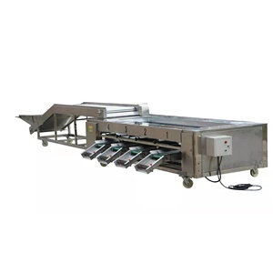 High Capacity Orange and Citrus Sorting Machine, Rotary Drum Grader for Farm - Product Image 6