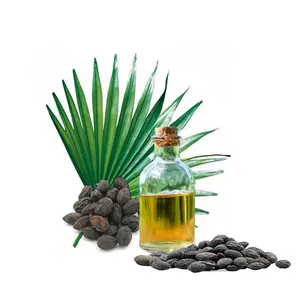 Zag Palmetto Olie 100% Puur En Natuurlijk Voor Voedsel Cosmetische En Farmaceutische Kwaliteit Onberispelijke Kwaliteit Tegen De Beste Prijzen