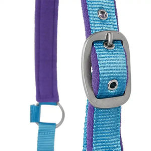 Licol pour cheval en vente chaude, équipement équestre de haute qualité, licol en nylon pour cheval avec logo privé personnalisé - Product Image 5