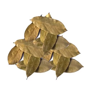 HOJAS SOURSOP SECAS ENTERAS/HOJAS SOURSOP ORGÁNICAS DE GRADO - Product Image 5