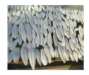 Os de seiche Fournisseur en vrac Os de calmar naturel de haute qualité pour animaux de compagnie Os de seiche OEM Exportation Offres compétitives Valeur supérieure - Product Image 5