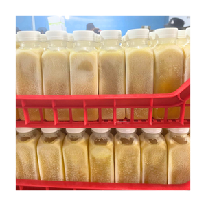 OFFRE CHAUDE 2025 JUS de KUMQUAT congelé du Vietnam IQF traité pour l'emballage en vrac pour l'industrie alimentaire - Product Image 2