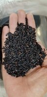 Riz gluant du Vietnam 5% cassé/noir gluant/collant/riz noir Riz Rise Riso Arroz/sac sous vide 1kg 2kg / ANNA DO VILA