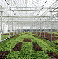 Système d'agriculture hydroponique professionnel en serre multi-voûtes en polycarbonate pour l'agriculture commerciale