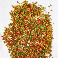 Nourriture pour perroquets, riche en fruits, multivitamines et minéraux