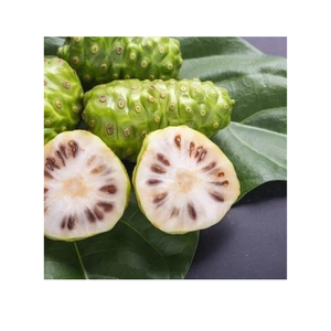 FRUITS NONI CONGELÉS IQF | ORIGINE DU VIETNAM | ENTIER ET TRANCHÉ | EXPORTATION EN VRAC - Product Image 3