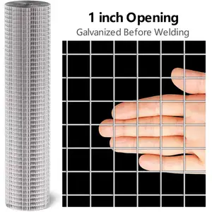 Stainless Steel Welded Wire Mesh Hot Galvanized Welded Wire Mesh Pvc Coated Welded Wire Mesh Roll