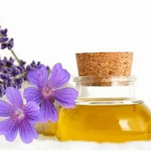 Wholesale 100% Pure Aromatherapy Oils Private Label Diffuser Massage Humidifier Organic Lavender Essential Oil