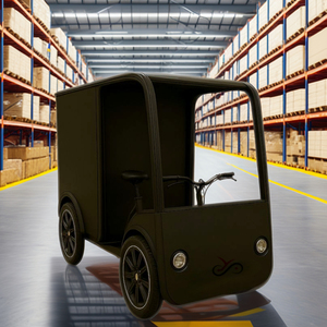 Bicicletta Elettrica da Carico a Quattro Ruote con Doppia Batteria da 250W, Grande Capacità, Vendita all'Ingrosso - Product Image 4