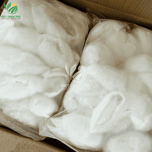 Pulpa de coco joven congelada IQF de Vietnam para hacer jugo en empaque a granel - Product Image 2