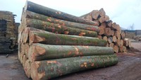 TOP vente bois de hêtre de haute qualité/bois/grumes-100% bois de hêtre naturel pour meubles, construction