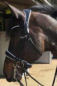 Bride de dressage - Product Image 3