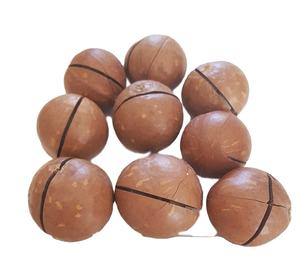Organic <b>Macadamia</b> <b>Nuts</b> Kernels Delicious Snack with Best Price High Quality Food Ingredients in Stock for Sale - Product Image 4