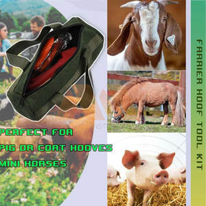 Kit de Herramientas de Herrador Reutilizable, Juego Completo de Instrumentos de Acero Inoxidable para el Cuidado de Cascos, Kit de Herrador Profesional para el Mantenimiento de Cascos de Caballos - Product Image 6