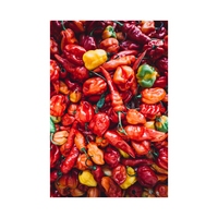 Graines de piment rouge séché AD en vrac, allongées, 25 kg, brésiliennes, durée de conservation de 2 ans, 100 % naturelles, prix abordable, disponibles en gros