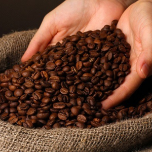 ความปลอดภัยในอาหารกาแฟสีเขียวกำไรสูง2023โรงงาน - Product Image 2