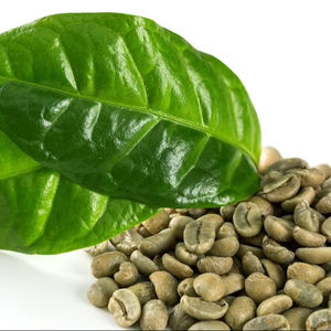 Grains de café vert Arabica de spécialité du Vietnam, taille 16, 100% naturel, qualité G1/G2, certifié ISO 22000, marque TNFOOD, fournisseur d'usine - Product Image 1