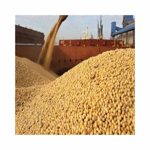 Graines de farine de soja séchées de soja jaune biologique Offre Spéciale sans OGM pour l'emballage en vrac d'aliments pour animaux - Product Image 3