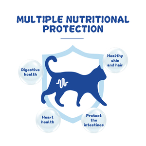 Nouvelle nourriture populaire pour chats de santé pour animaux de compagnie à protéines marines de haute mer contenant des aliments secs frais pour <span class=keywords><strong>chat</strong></span> de morue de poulet - Product Image 3