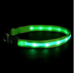 <span class=keywords><strong>Collar</strong></span> LED para Perro, <span class=keywords><strong>Collar</strong></span> Luminoso para Perro con Luces Recargables por USB, <span class=keywords><strong>Collar</strong></span> de Seguridad Ajustable, Cómodo y de Malla Suave para Perros Pequeños - Product Image 6