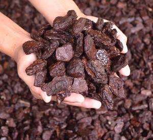 Extracto de corteza de pino, calidad Industrial, corteza de pino pulida, 2,5-4,5cm - Product Image 6