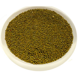 Semillas de Frijol Mung Verde Frescas con Alta Tasa de Germinación, 25 kg, de EE. UU. - Product Image 2
