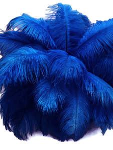 Plumas de avestruz al por mayor de Venta caliente, precio de fábrica, plumas naturales elegantes para decoración de fiestas, bricolaje y accesorios de moda - Product Image 6