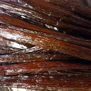 Venta caliente de alta calidad orgánica Madagascar negro vainilla frijoles Sri Lanka Bourbon vainilla frijoles precio urgente Planifolia - Product Image 3