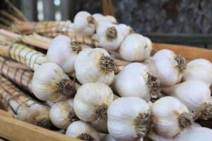 Vente chaude Ail blanc normal frais Grade -A Ail rouge avec arôme fort Meilleur prix Ail en gros pour la nourriture et les épices - Product Image 4