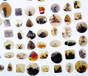 Lot en gros de cabochons d'agate dendritique Shazar naturelle, forme fine, haute qualité, pierres précieuses en quartz en vrac pour la fabrication de bijoux - Product Image 1