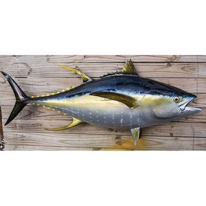 Atún congelado con alto contenido en proteínas, capturado en el océano y procesado según los estándares de la UE - Product Image 3