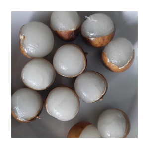 เวียดนาม iqf ผลไม้แช่แข็งลำไยหอมรสเขตร้อนและสีทองเหมาะสำหรับสมูทตี้ขนมหวานและเครื่องดื่ม - Product Image 2