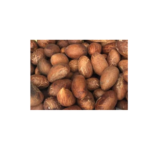 Noix de cola amères biologiques disponibles en vrac pour la santé et l'usage médicinal Garcinia kola de haute qualité à vendre à bas prix - Product Image 3