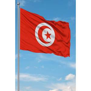 Drapeau personnalisable 3x5 pieds en polyester/soie pour l'extérieur, avec support en aluminium, idéal pour l'assurance automobile, l'éducation et les agences de voyage. - Product Image 3