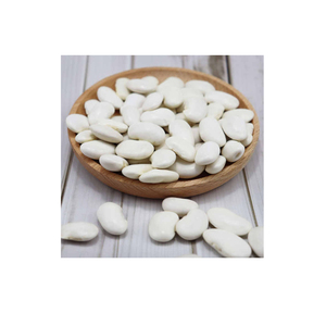 Haricots blancs à vendre pour les entreprises mondiales de transformation alimentaire - Product Image 3