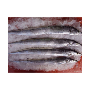 Poisson ruban frais congelé entier, prix du marché, durée de conservation de 2 ans - Product Image 5