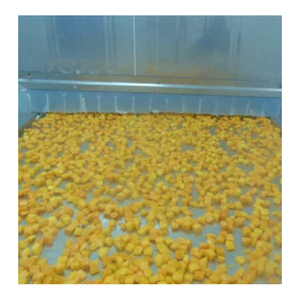 Dulces trozos de mango congelado, calidad consistente, fácil descongelación, opción popular para batidos, sorbetes, jugos, fabricación de alimentos - Product Image 3