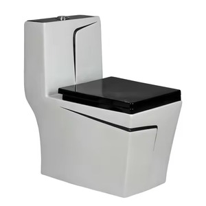 Productos sanitarios decorativos para el hogar, combo de inodoro de una pieza, armario de agua de lujo, juego de inodoro de baño de cerámica - Product Image 1