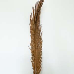 Flores Secas Sikas - Product Image 1