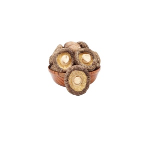 Exportadores de Champiñones Secos Sazonados, Champiñones <span class=keywords><strong>Shiitake</strong></span> Cultivados Marrones de Alta Calidad - Product Image 2