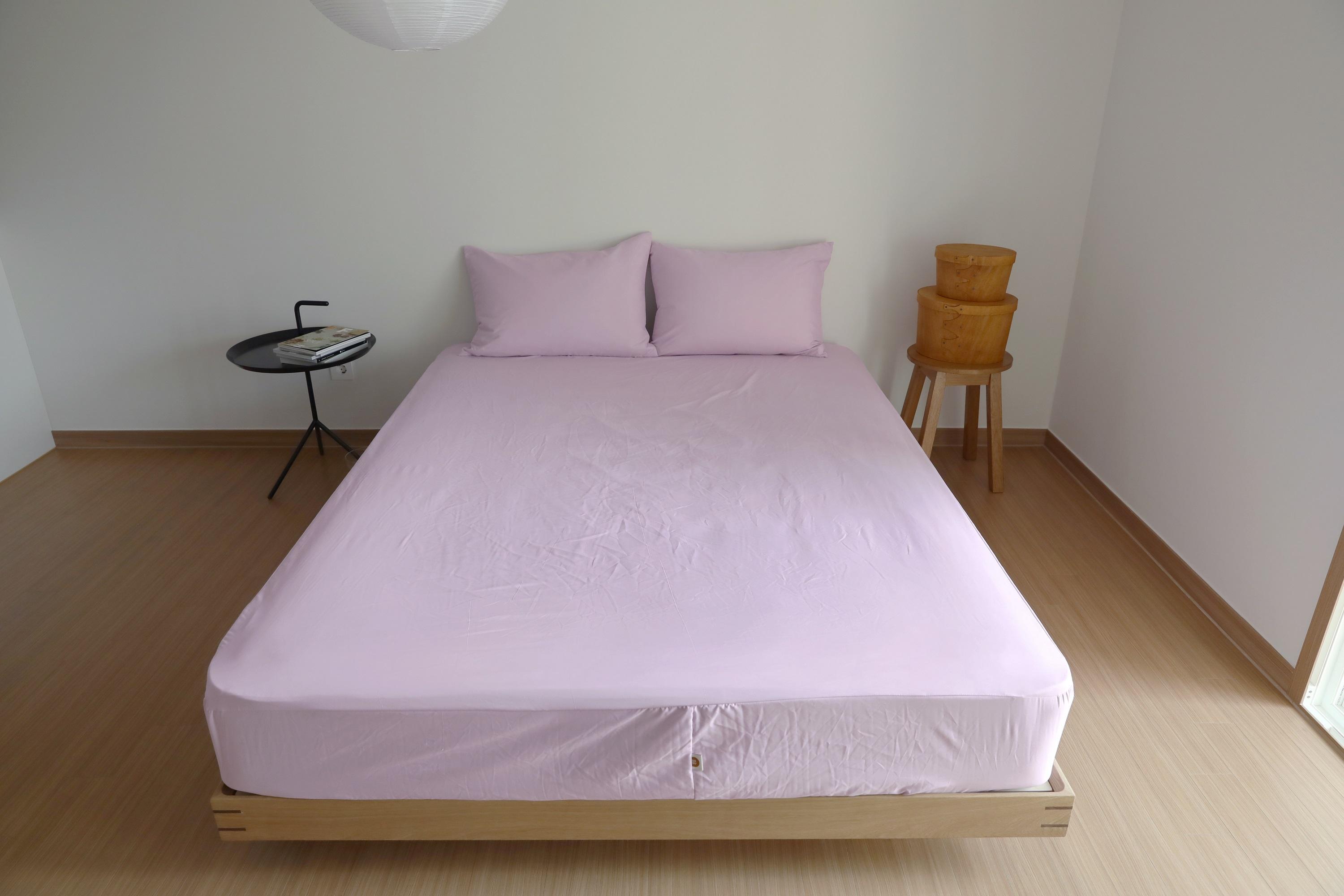 บลูเบอร์รี่สีม่วง