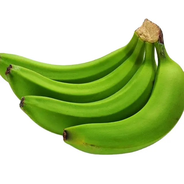 Wholesale Prices Farming Products Export Premium Natural Fresh Fruit Cavendish Ecuador Banana For Sale