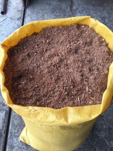 2025 cocopeat 100% จากเวียดนาม - Product Image 4