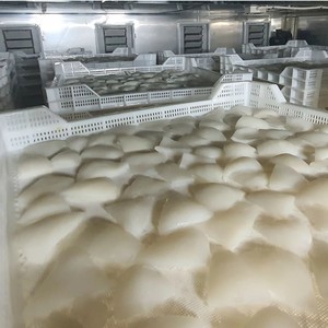 Viande de noix de coco séchée exotique du Vietnam: élevez la cuisson, les smoothies et les collations au goût audacieux de la viande de noix de coco séchée Bliss - Product Image 6