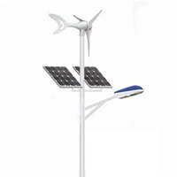 Lampadaire solaire LED IP65 de haute qualité et à faible coût pour systèmes solaires éolien-extérieurs