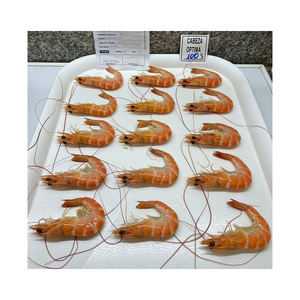 Venta al por mayor de camarones cocidos congelados HOSO, mariscos de alta demanda, venta a granel, precios competitivos - Product Image 5